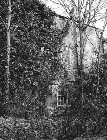 6319323_orig